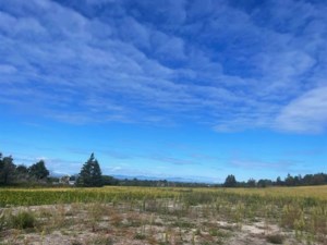 23077442 - Vacant lot for sale